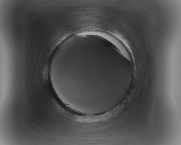 X0000086220009200704191748