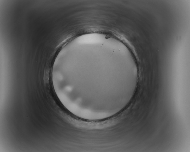 X0000086220010200704191748