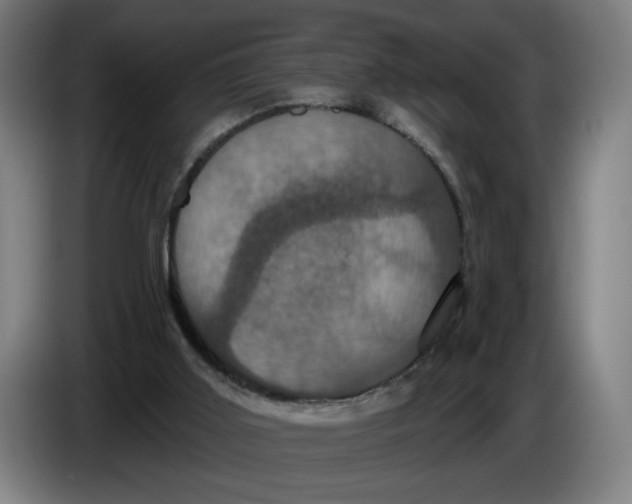 X0000086220011200704191748