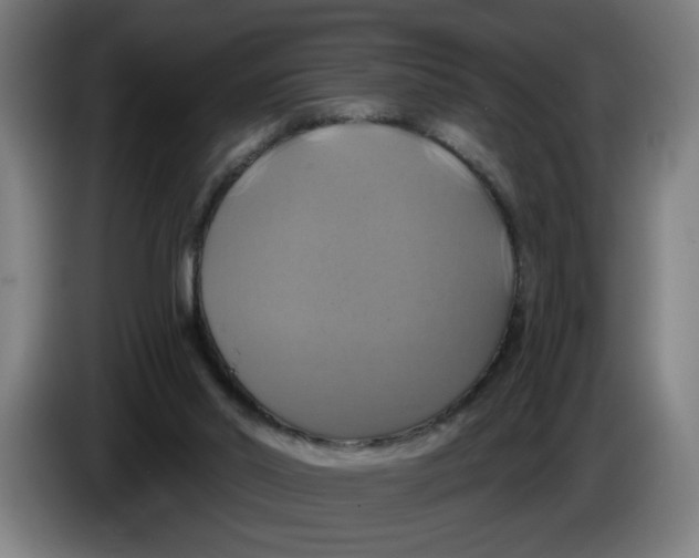 X0000086220014200704191748