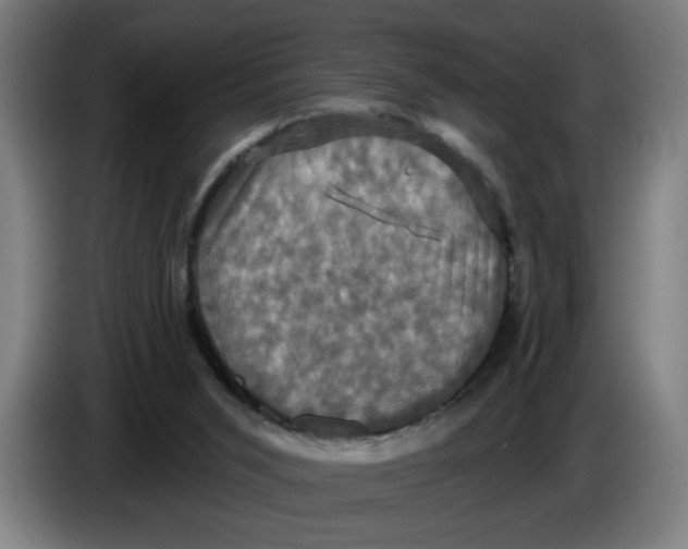 X0000086220015200704191748