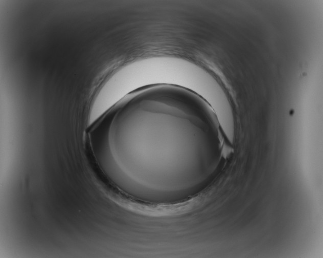 X0000086220019200704191748