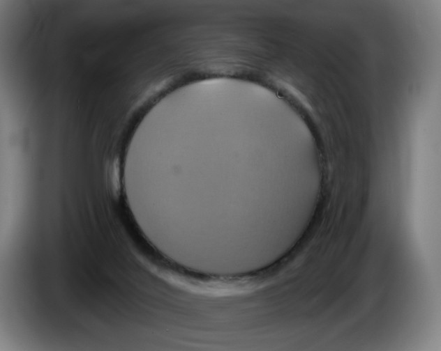 X0000086220020200704191748