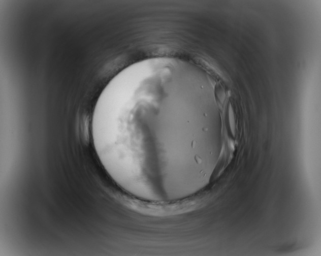 X0000086220022200704191748