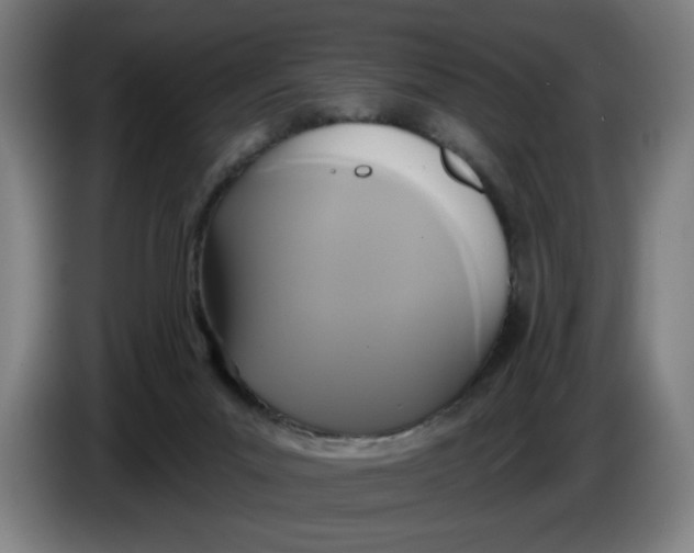 X0000086220023200704191748