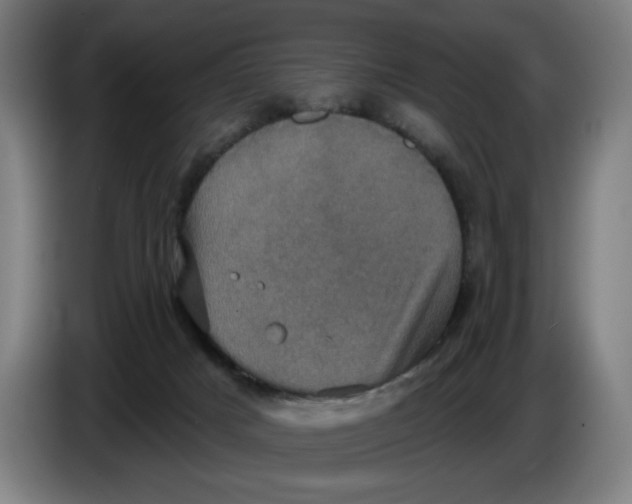 X0000086220025200704191748