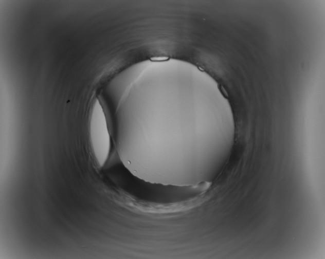 X0000086220027200704191748