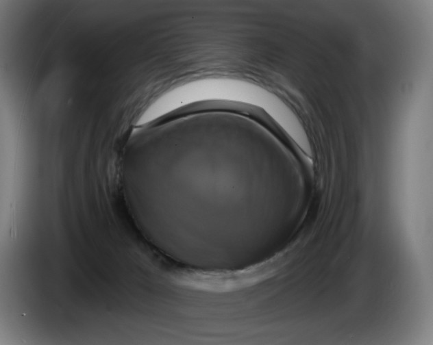 X0000086220029200704191748