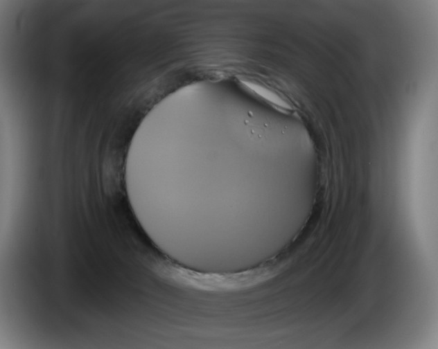 X0000086220030200704191748