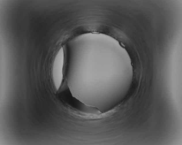 X0000086220031200704191748