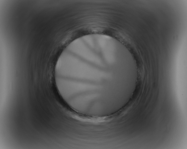 X0000086220032200704191748