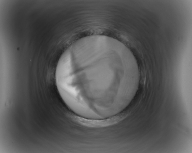 X0000086220034200704191748