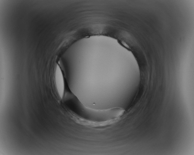 X0000086220035200704191748