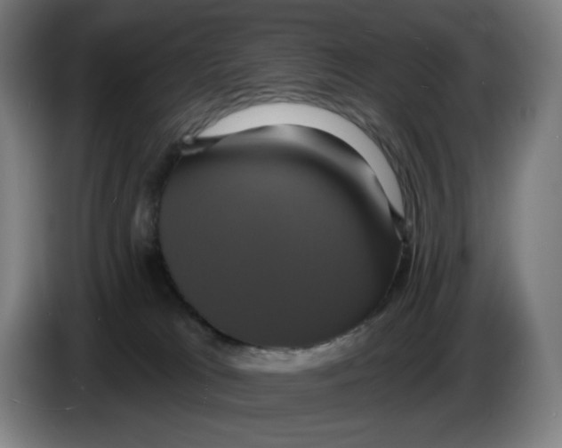 X0000086220037200704191748