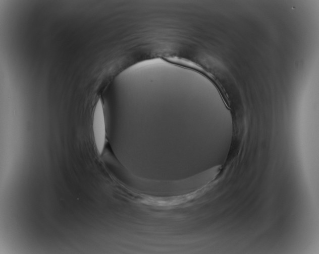 X0000086220041200704191747