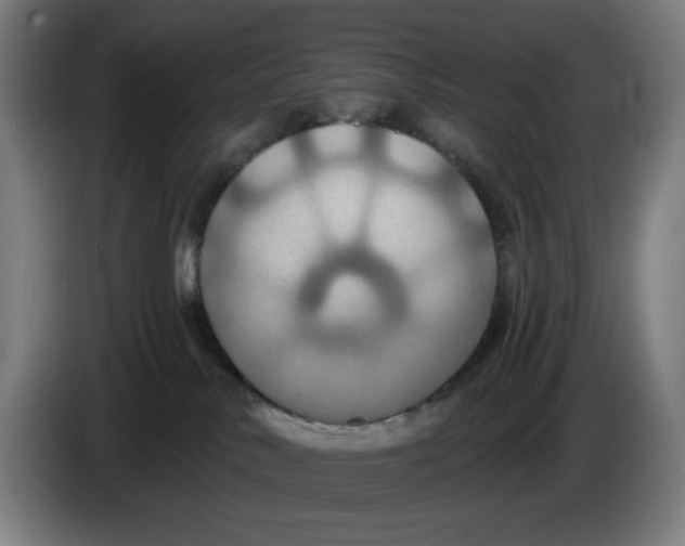 X0000086220042200704191747