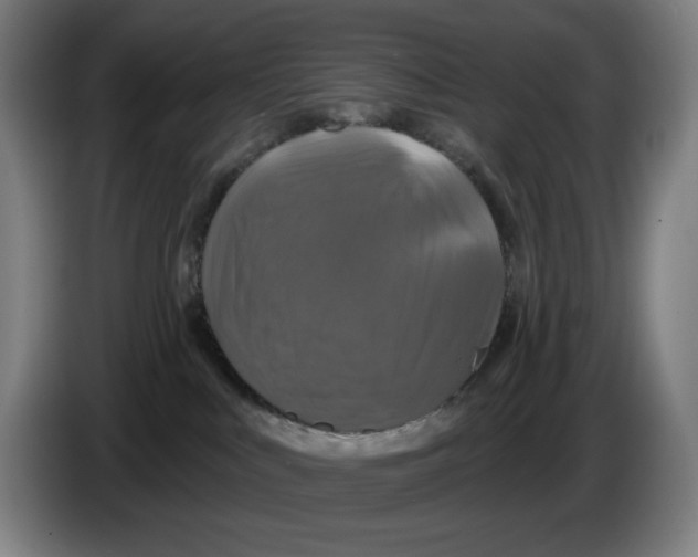 X0000086220043200704191747