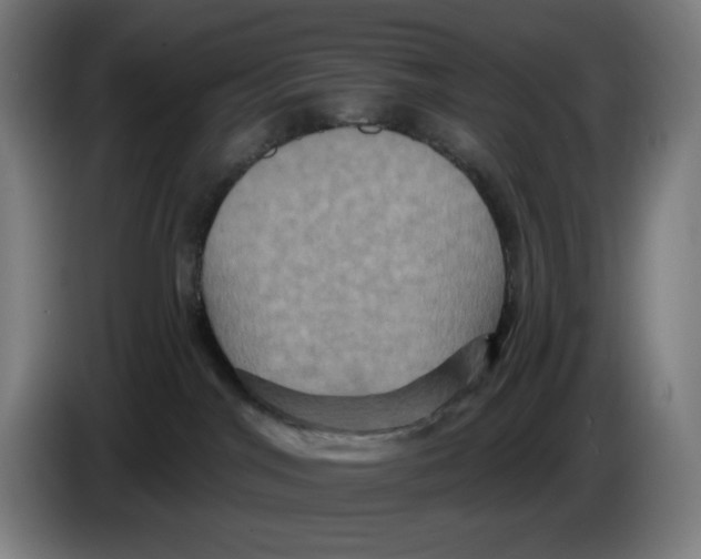 X0000086220044200704191747