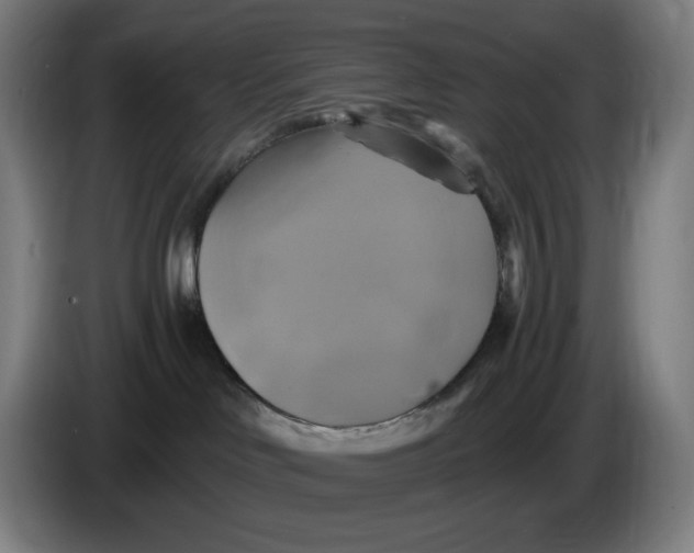 X0000086220046200704191747