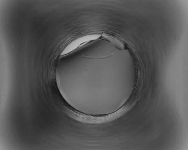 X0000086220048200704191747