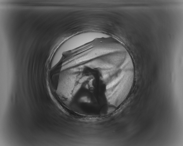 X0000086220049200704191747