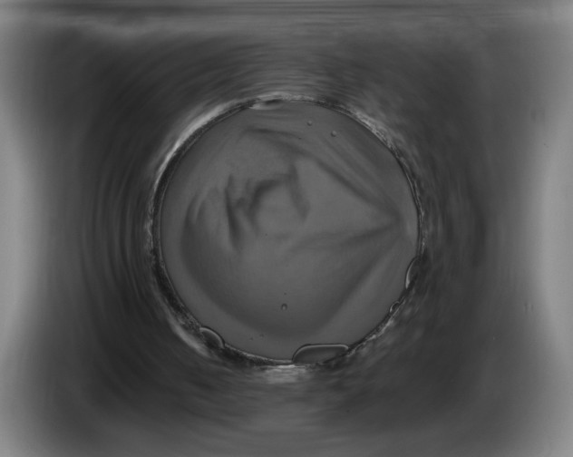 X0000086220050200704191747