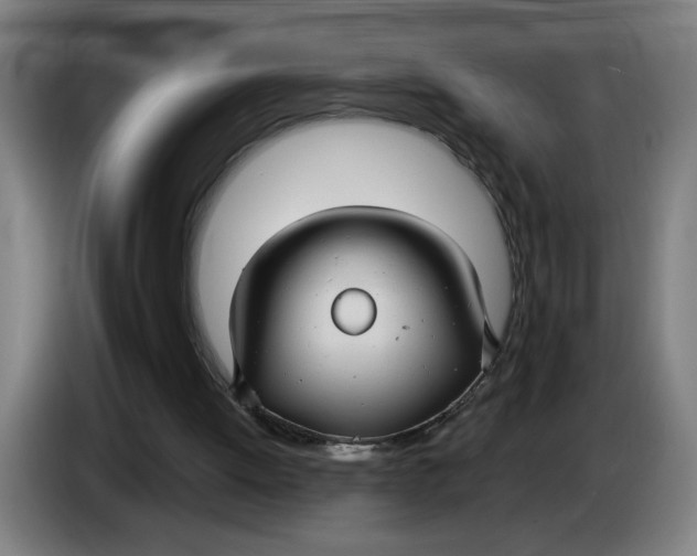 X0000086220052200704191747