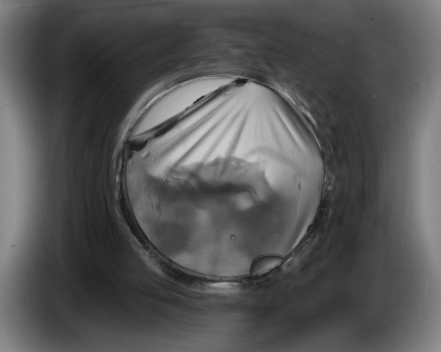 X0000086220053200704191747