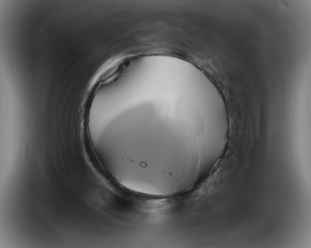 X0000086220054200704191747