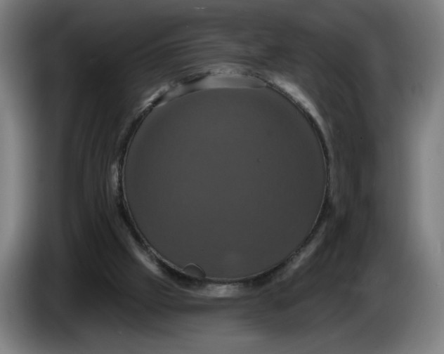 X0000086220057200704191747