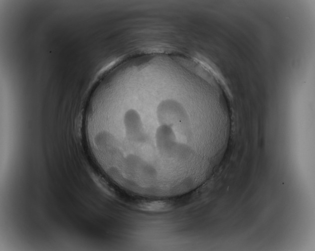 X0000086220058200704191747