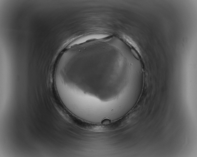 X0000086220059200704191747