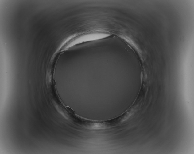 X0000086220060200704191747