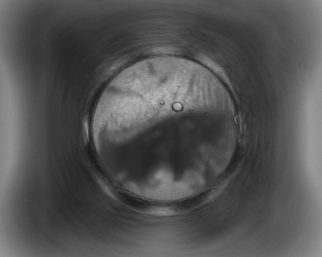 X0000086220061200704191747