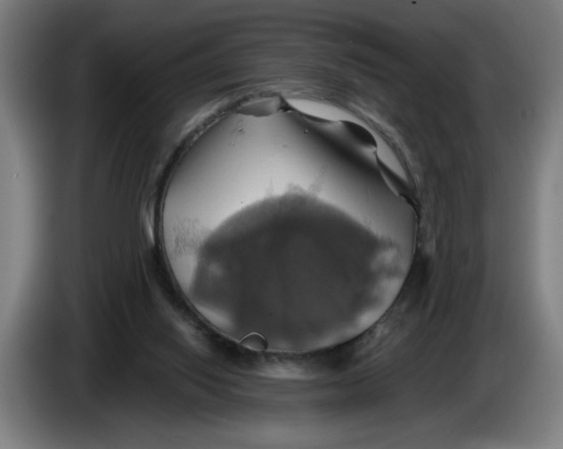 X0000086220062200704191747