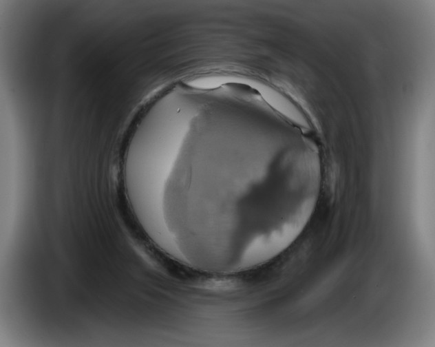 X0000086220063200704191747