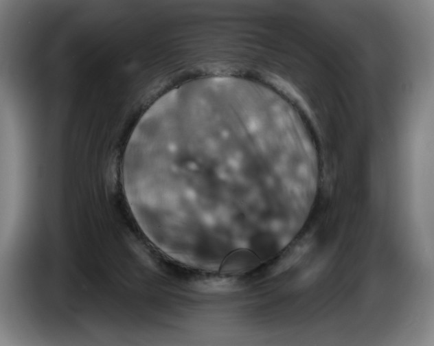 X0000086220065200704191747