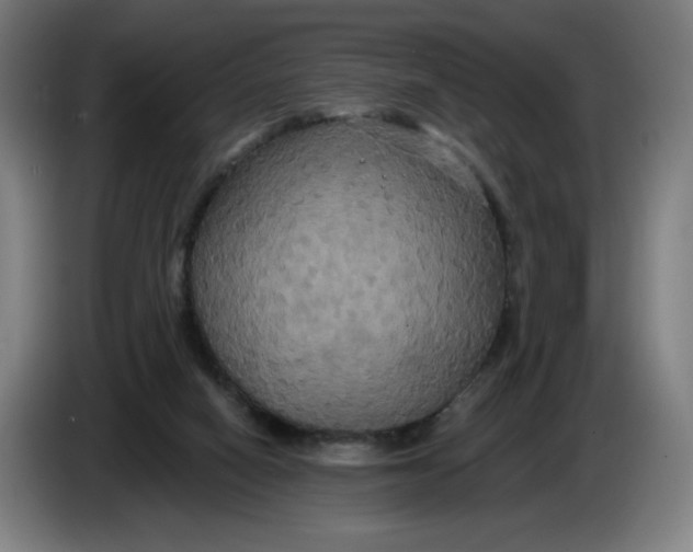 X0000086220066200704191747