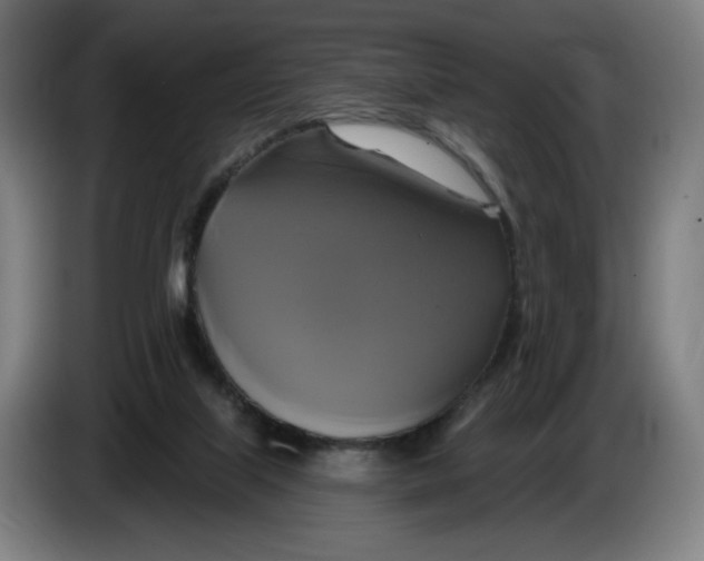 X0000086220067200704191747