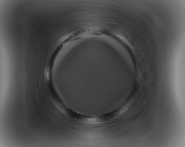 X0000086220068200704191747