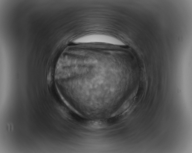 X0000086220074200704191747