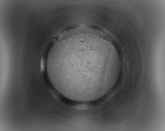 X0000086220075200704191747