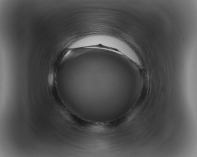 X0000086220076200704191747