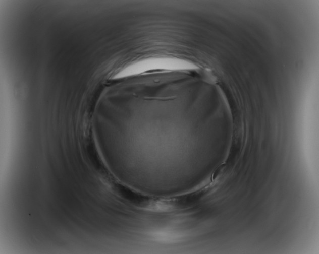 X0000086220078200704191747