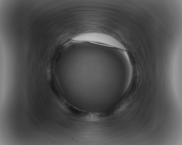 X0000086220080200704191747