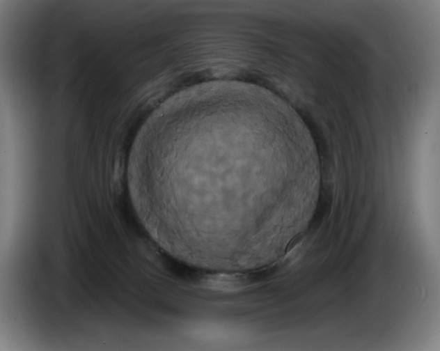 X0000086220082200704191747