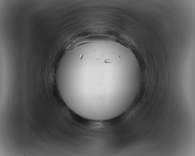 X0000086220083200704191747