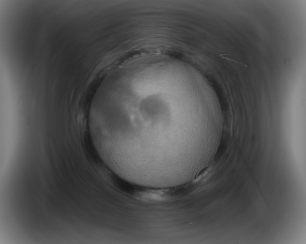 X0000086220086200704191747