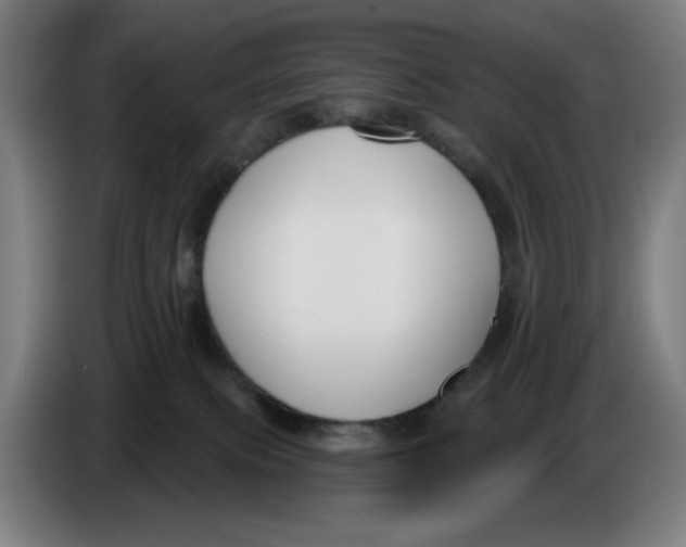 X0000086220087200704191747