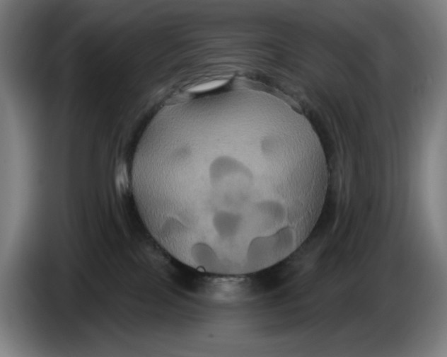 X0000086220089200704191747